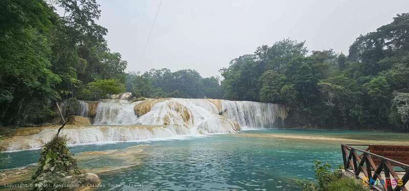 From Palenque: Misol-Ha & Agua Azul Waterfalls Day Tour - FAQ