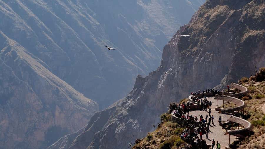 From Arequipa: Colca Canyon all include |Full Day| - Key Points
