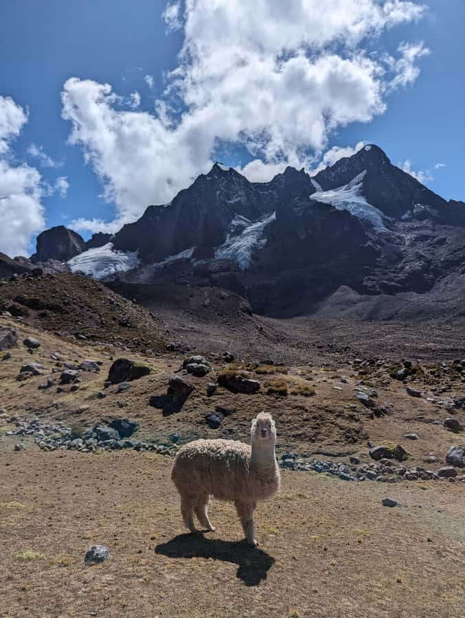 Cusco: 4-day Ausangate Trek with visit the Rainbow Mountain - Key Points