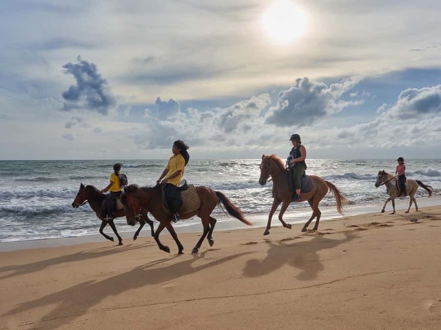 Phuket: Kamala Beach Horse Riding Activity - Key Points