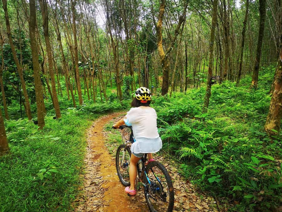 Phuket Mountain Bike Tour On Koh Yao Noi - What Makes This Tour Stand Out?