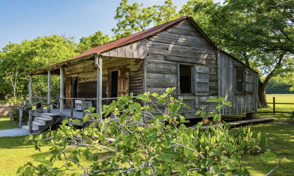 New Orleans: Oak Alley or Laura Plantation & Airboat Tour - Who Will Love This Experience?