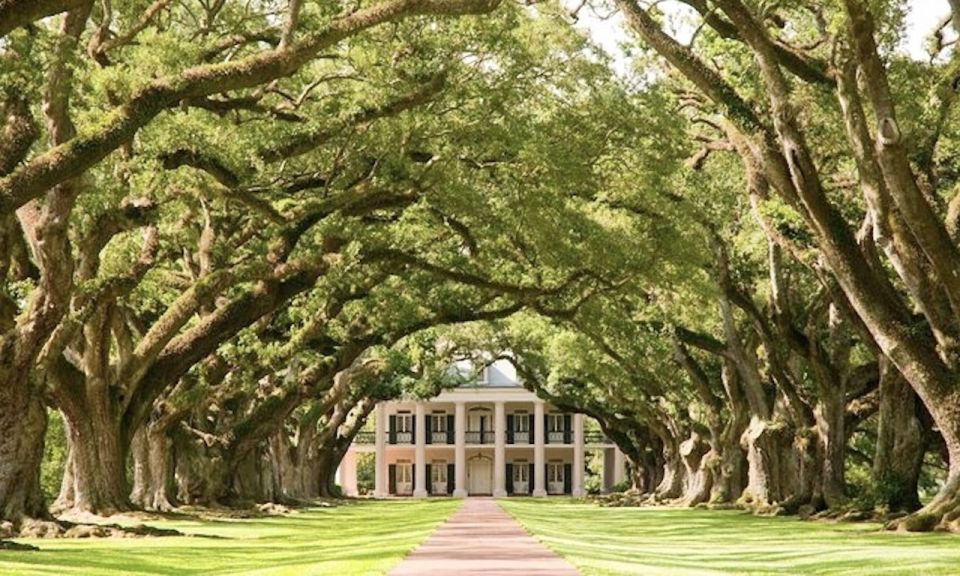 New Orleans: Oak Alley or Laura Plantation & Airboat Tour - The Value of This Tour: Balancing Cost, Experience, and Authenticity