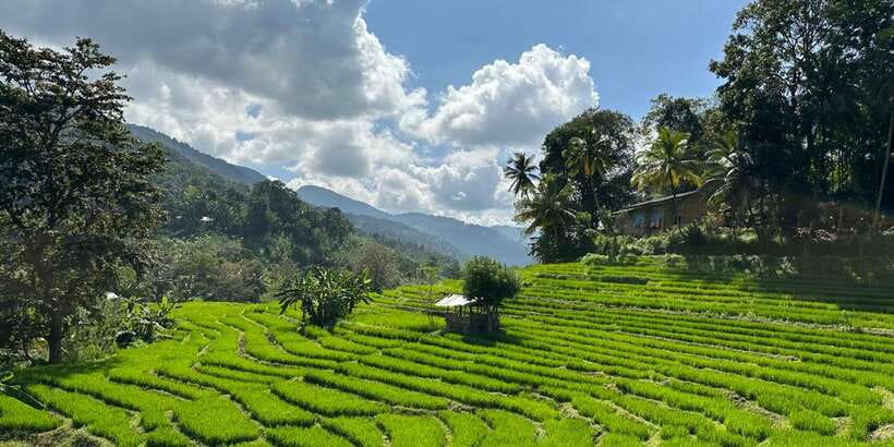 Exclusive knuckles Camping Tour from kandy - An In-Depth Look at the Knuckles Camping Tour