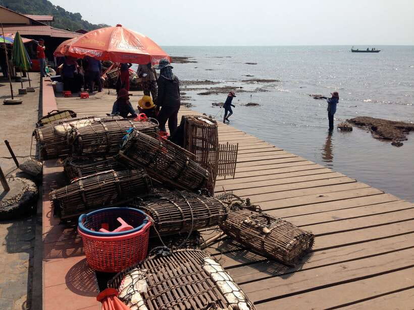 One Day Trip to Pepper Farm, Chhngok Temple and Salt Field - Starting from Phnom Penh: Comfort and Convenience