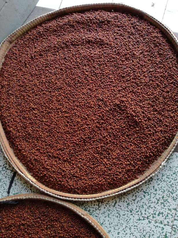 One Day Trip to Pepper Farm, Chhngok Temple and Salt Field - The Sum Up