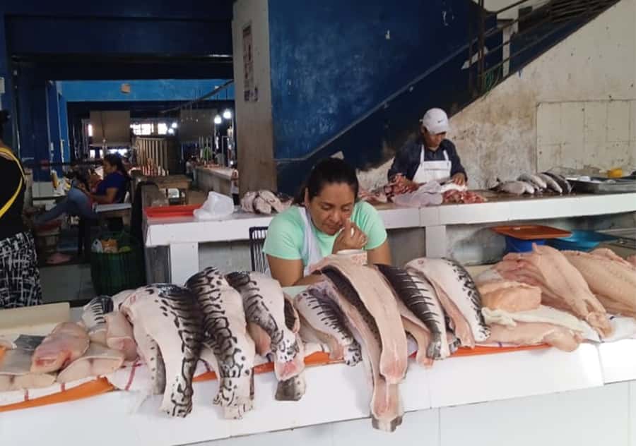 Discovering the secrets of the Amazon: Guided tour of Belén - Practical Details and Considerations
