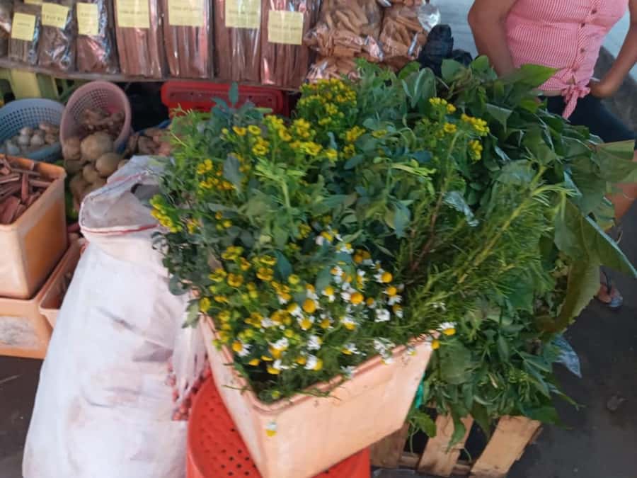 Discovering the secrets of the Amazon: Guided tour of Belén - A Deep Dive into the Belén Tour Experience