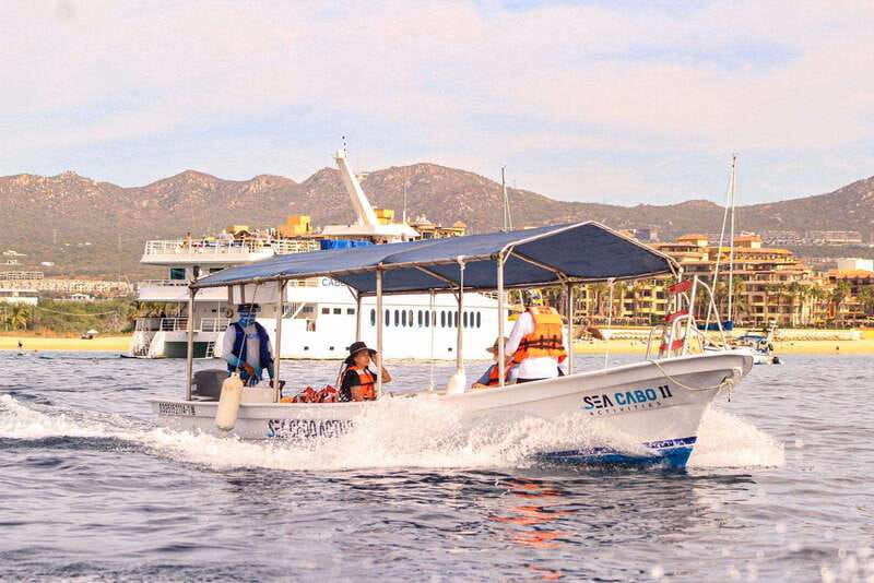 Cabo San Lucas: Tour al Arco en Barco Fondo de Cristal - Authentic Insights from Travelers