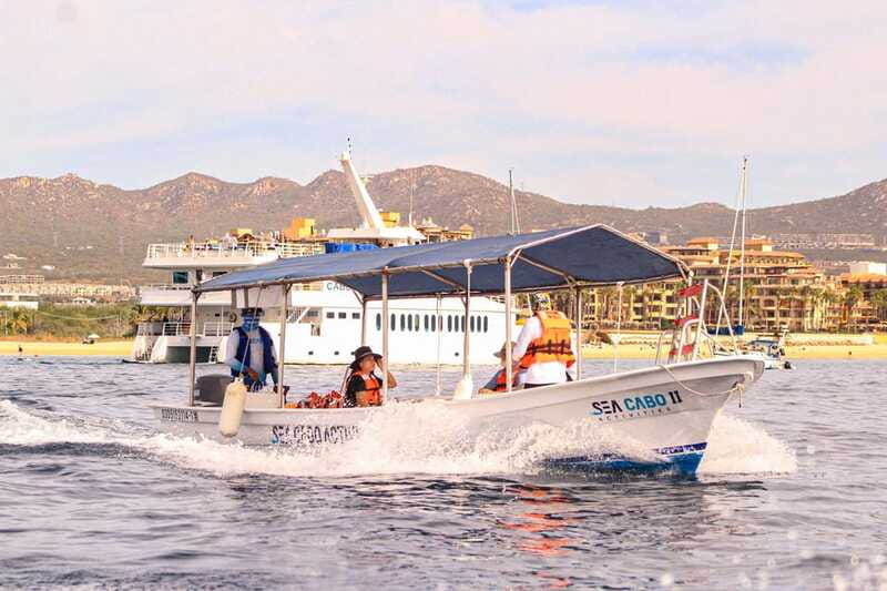 Cabo San Lucas: Tour al Arco en Barco Fondo de Cristal - Who Will Love This Tour?