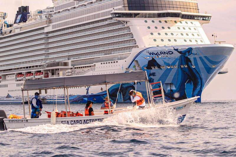 Cabo San Lucas: Tour al Arco en Barco Fondo de Cristal - Practical Tips for Your Trip