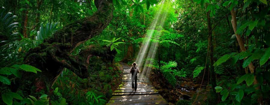 From Iquitos: Amazonas 3 Days 2 Nights - Introduction: An Amazon Adventure for Curious Travelers