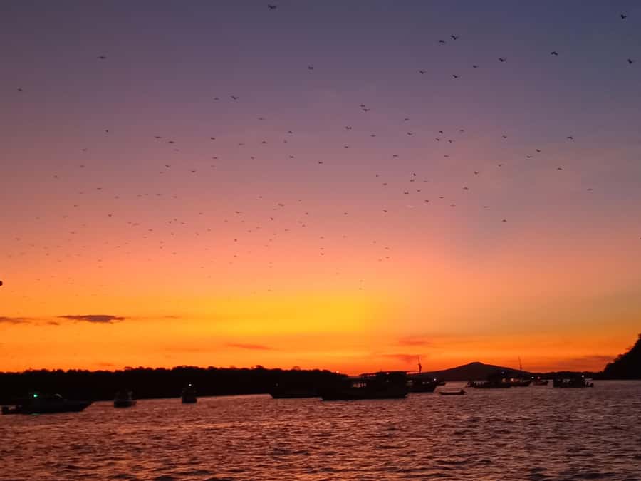 LABUAN BAJO: Komodo Shared Tour With Speed Boat - Practical Details and Whats Included