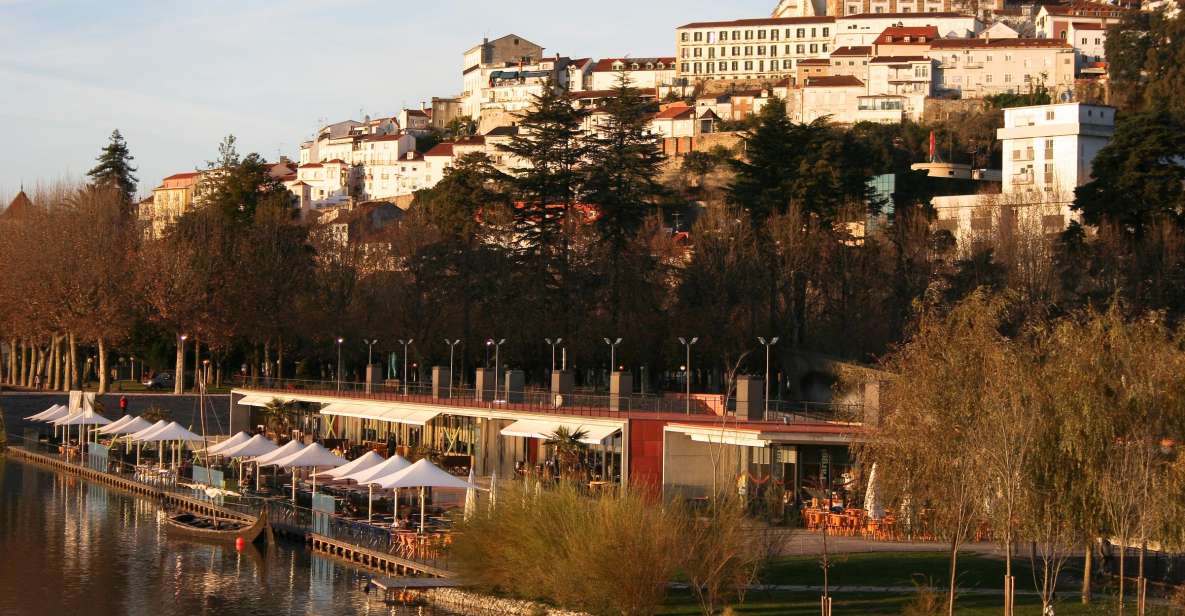 Sanctuary of Fátima and Coimbra City Tour - The Bottom Line: Who Should Consider This Tour?