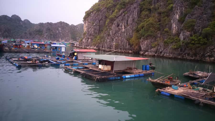 From Ha Noi/Cat Ba: Full-Day Cruise to Lan Ha - Ha Long Bay - Key Points