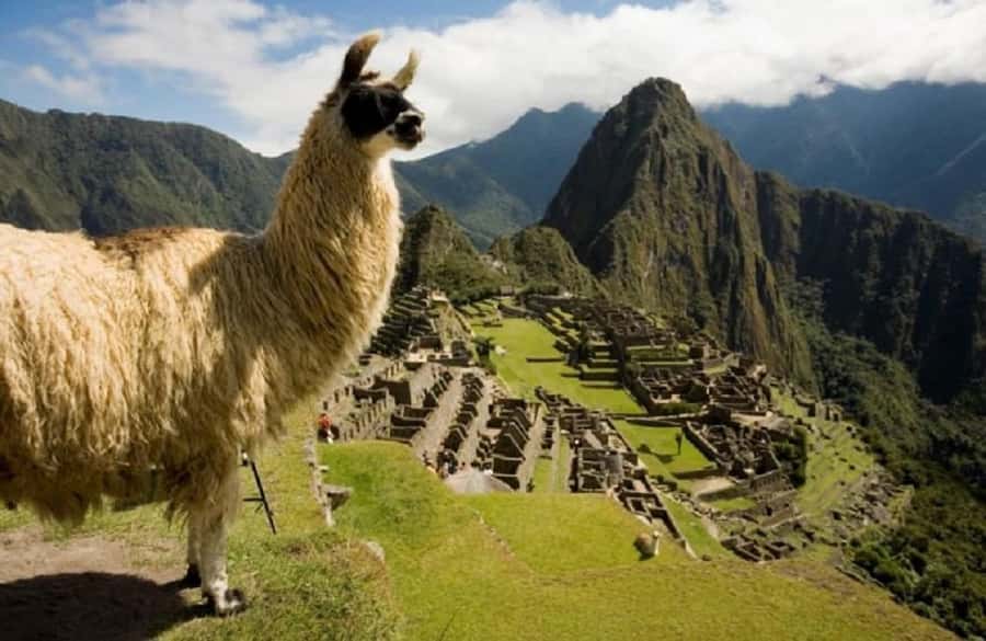 From Ollantaytambo: 2-day Machu Picchu Tour - The Value of This Tour