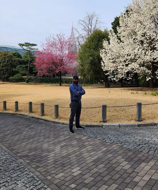 One Day Private Tour of Tokyo Famous Places - Who Is This Tour Best For?