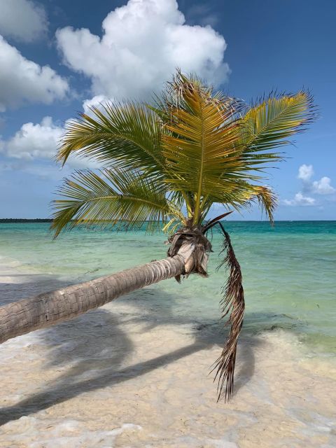 Punta Cana: All Inclusive Saona Island Experience - FAQ