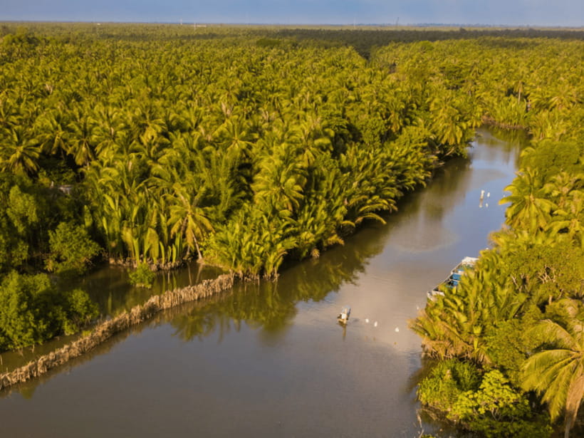 From Ho Chi Minh: My Tho Ben Tre Mekong with Lunch - Exploring the Mekong Delta from Ho Chi Minh City: My Tho Ben Tre with Lunch