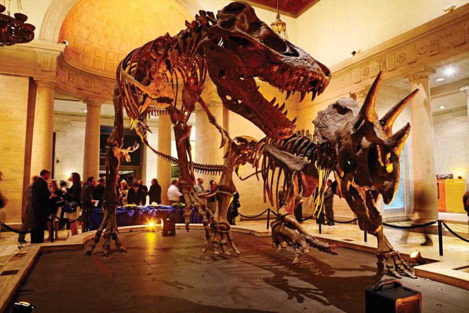 Los Angeles: Natural History Museum of LA Entry Ticket - Authentic Feedback from Visitors