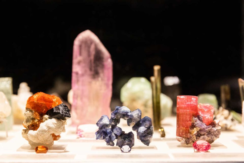 Los Angeles: Natural History Museum of LA Entry Ticket - Key Points