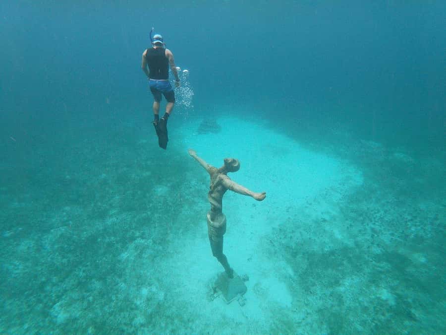 From Cozumel: Chankanaab Admision + Snorkel +Open Bar +Lunch - Frequently Asked Questions