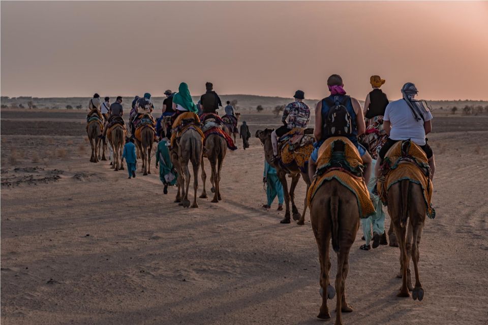Nomadic 2 Nights 3 Days Non Touristic Camel & Desert Safari - Who Should Consider This Tour?
