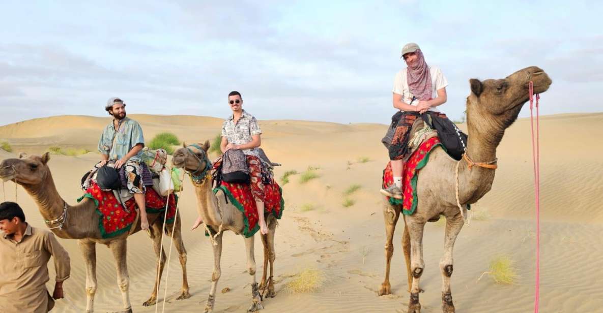 Nomadic 2 Nights 3 Days Non Touristic Camel & Desert Safari - Authentic Encounters & Cultural Insights