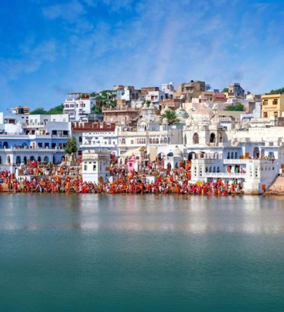 Fullday pushkar tour from jaipur with guid+camel/jeep safari - Key Points