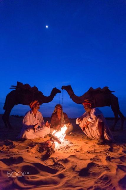 Fullday pushkar tour from jaipur with guid+camel/jeep safari - Who Is This Tour Best For?