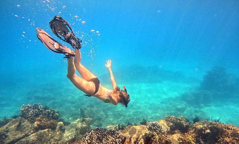 San Jose del Cabo Snorkeling Tour - Key Points