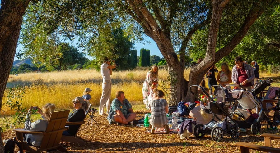 Woodside: Filoli Historic House and Garden Entry Ticket - A Detailed Look at Filoli: Why It’s Worth Your Time