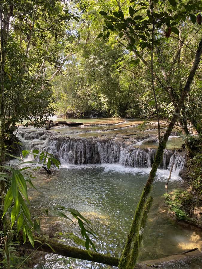 Desde Palenque: Rafting, Caminata en Selva Y Bonampak - FAQ