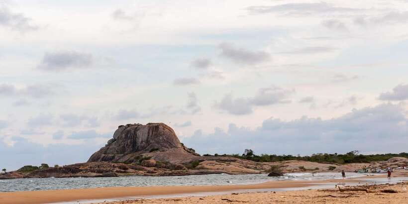 Kalutara/Bentota/Kosgoda/Ahungalla/Hikkaduwa: Yala Safari - Who Should Consider This Tour?