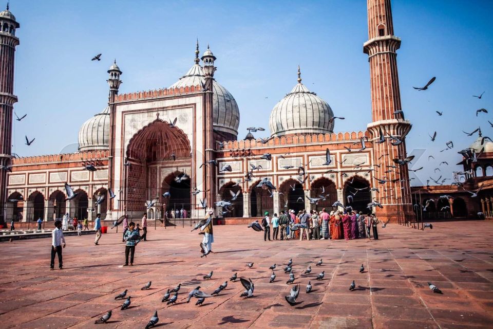 From Delhi: Private 4-Day Golden Triangle Luxury Tour - Who Should Consider This Tour?