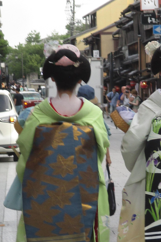 KYOTO-NARA: Giant Buddha Deer Pagoda "Geisya" (Italian, full day) - Who Will Love This Tour?
