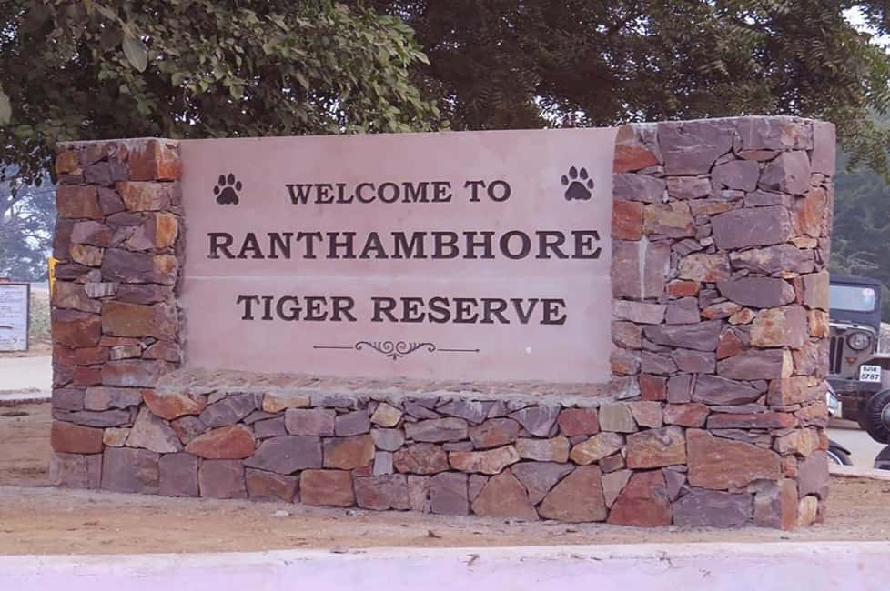 From Jaipur: Praivte Ranthambore Tour By Jeep Canter Safari - From Jaipur: Private Ranthambore Tour By Jeep Canter Safari