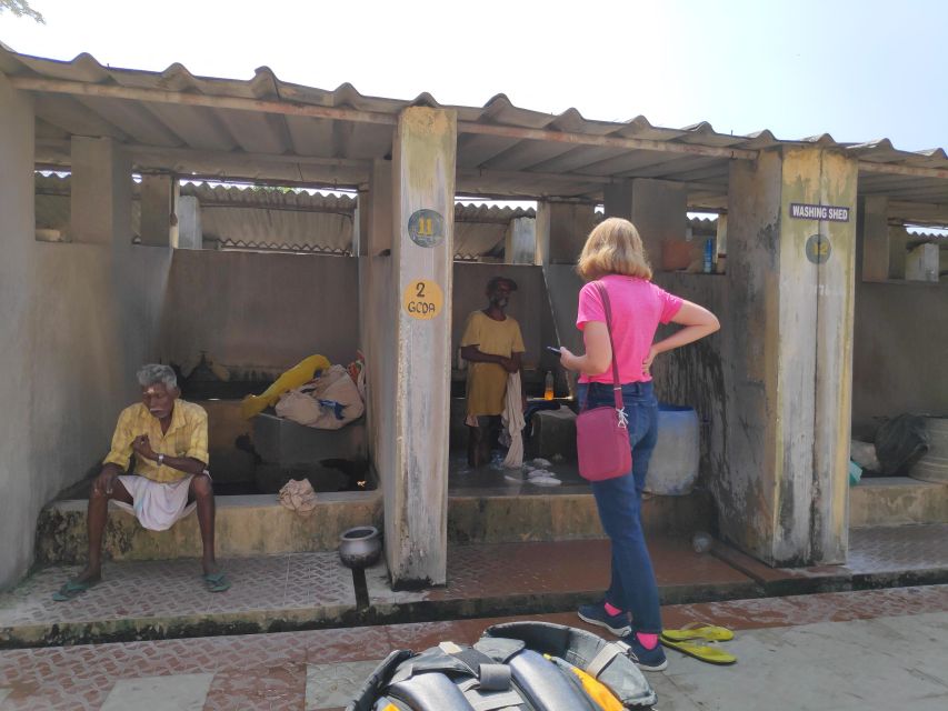 Kochi to Marari/ Kumarakom/ Alleppey Cycling Tour (Full Day) - The Cycling Route: From Fort Kochi to Coastal Villages