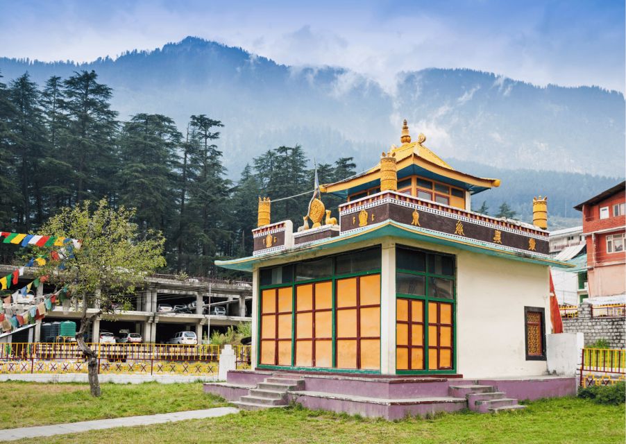 The Spiritual Trails of Dharamshala(Guided Walking Tour) - Inside the Dalai Lama Compound: House, Museum, and Libraries