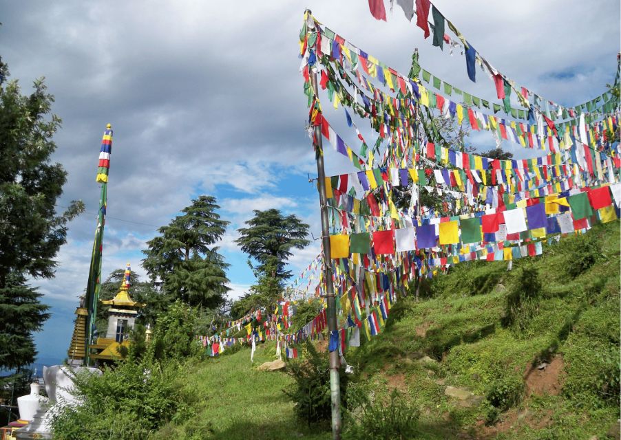 The Spiritual Trails of Dharamshala(Guided Walking Tour) - What You’ll Experience and Learn