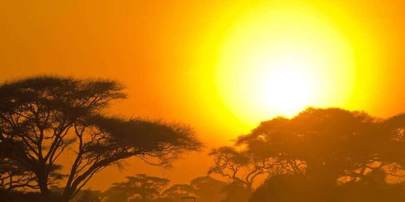 Yala Safari All-Inclusive Package with Convenient Pick Up - A Closer Look at the Yala Safari All-Inclusive Package