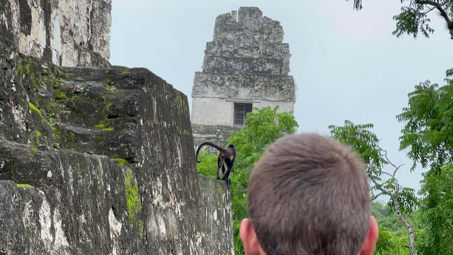 Tikal Sunrise, Archeological focus and Wildlife Spotting - Experience the Magic of Tikal at Dawn — a peaceful, educational, and visually stunning journey that’s perfect for explorers who want more than just the typical visit.