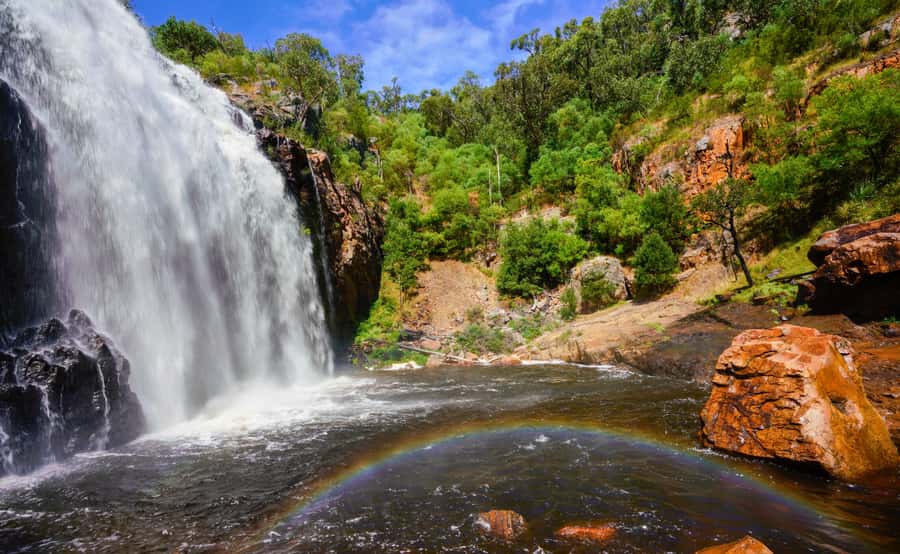 Grampians National Park Small-Group Eco Day Tour - Exploring Waterfalls and Scenic Trails