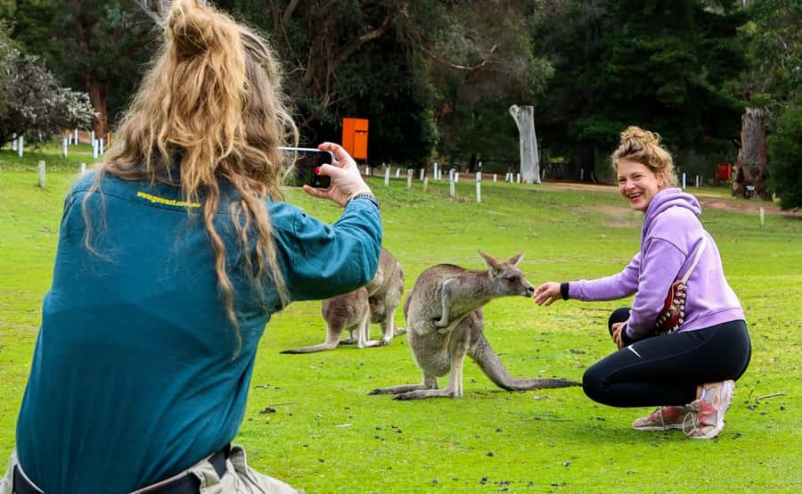 Grampians National Park Small-Group Eco Day Tour - Wildlife and Scenic Drives
