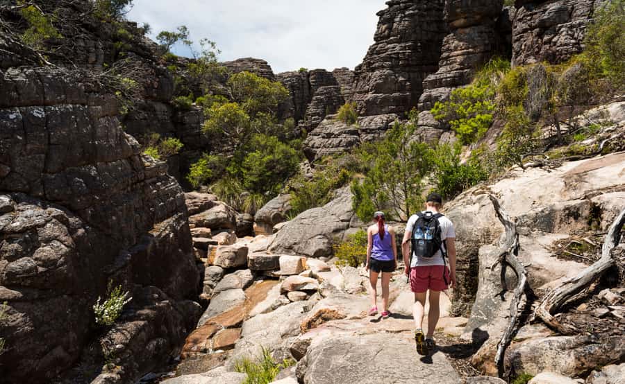 Grampians National Park Small-Group Eco Day Tour - Iconic Landmarks: Grand Canyon and MacKenzie Falls