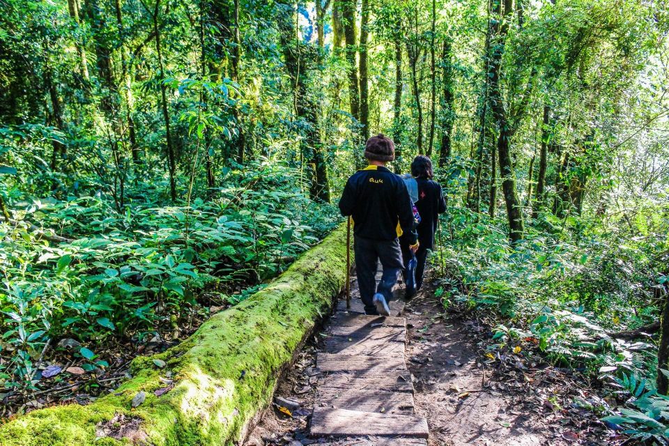 Chiang Mai: Kew Mae Pan Nature Trail & Doi Inthanon Day Trip - Waterfalls and Natural Beauty