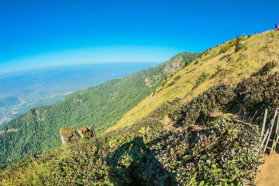 Chiang Mai: Kew Mae Pan Nature Trail & Doi Inthanon Day Trip - Authenticity and Overall Value