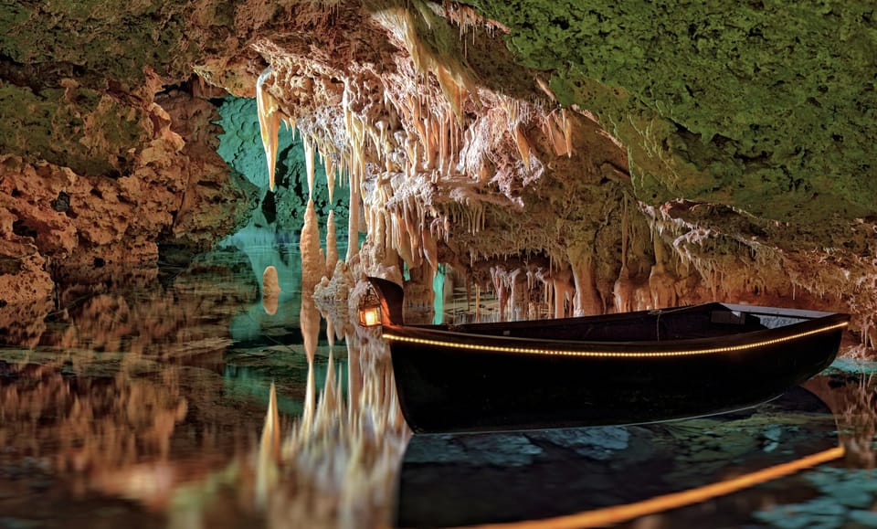 From Palma de Mallorca: Dinosaurland tour - The Return Journey and Overall Value