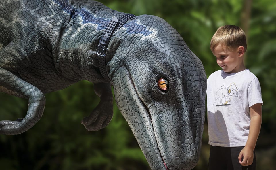 From Palma de Mallorca: Dinosaurland tour - Why This Tour Stands Out
