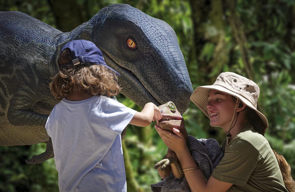 From Palma de Mallorca: Dinosaurland tour - How the Tour Is Structured
